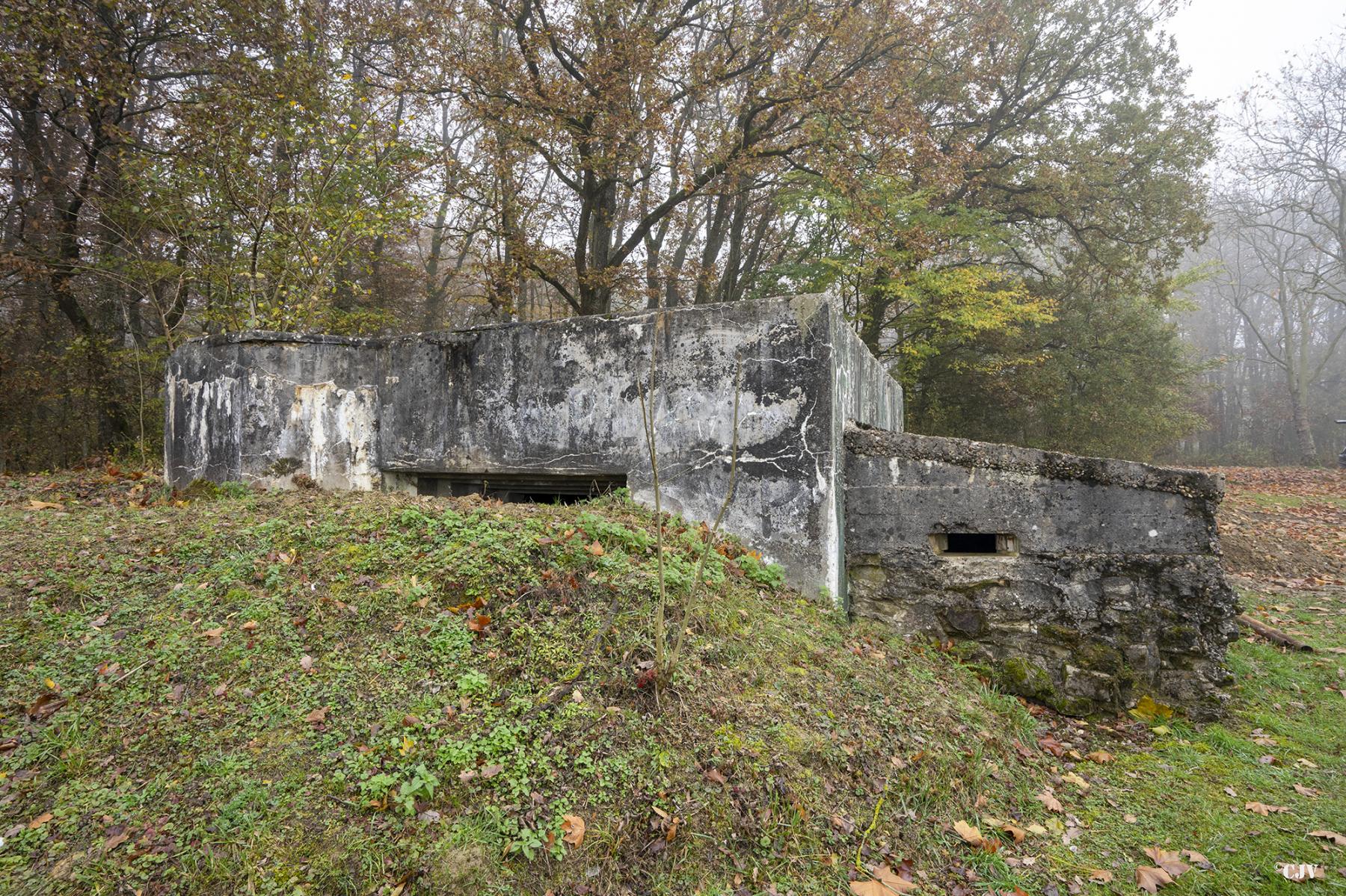 Ligne Maginot - CB299 - JUNGBUSCH - (Blockhaus pour canon) - Façade de tir - Lia VERMEULEN