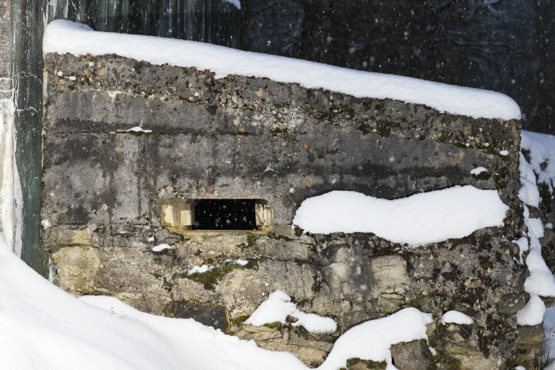 Ligne Maginot - CB299 - JUNGBUSCH - (Blockhaus pour canon) - Un des créneaux de l'annexe rapportée au blockhaus. Celui-ci est orienté de manière a couvrir la même direction que le créneau principal. - www.arnaultjl-photo.com