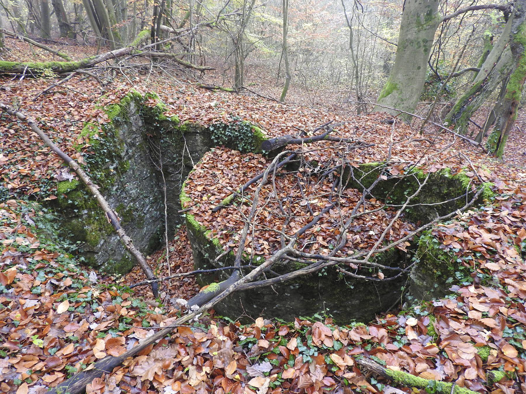 Ligne Maginot - GUNGLINGERBERG 6 - (Cuve pour arme d'infanterie) - La cuve pour arme d'infanterie. - STENGER Mathieu