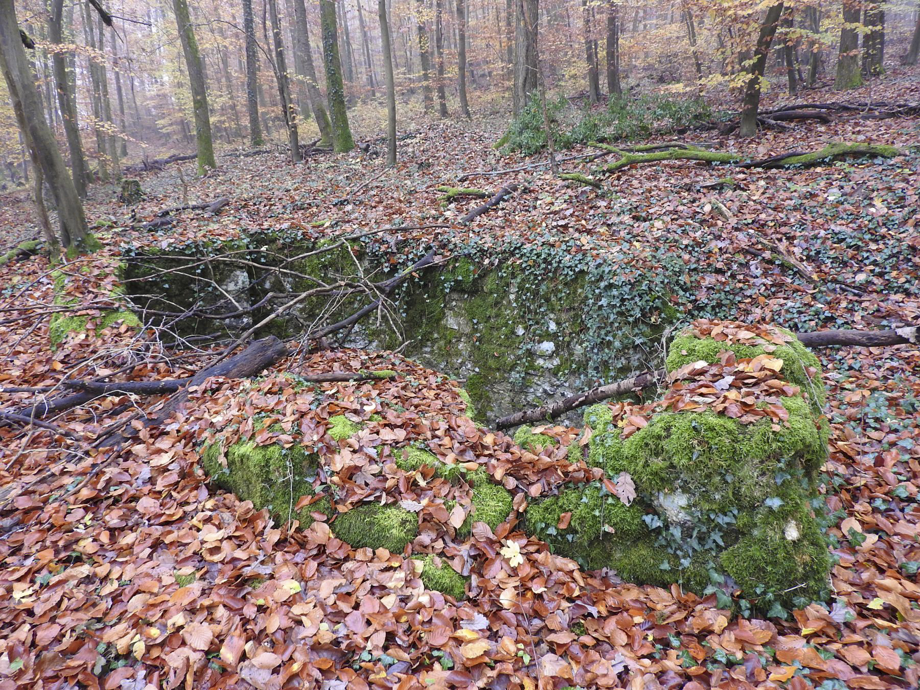 Ligne Maginot - GUNGLINGERBERG 6 - (Cuve pour arme d'infanterie) - La cuve pour arme d'infanterie. - STENGER Mathieu