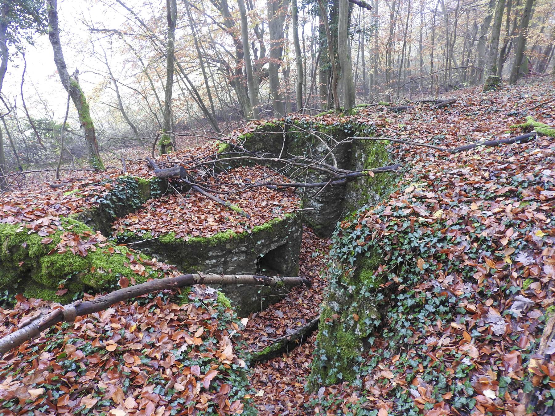 Ligne Maginot - GUNGLINGERBERG 6 - (Cuve pour arme d'infanterie) - La cuve pour arme d'infanterie. - STENGER Mathieu