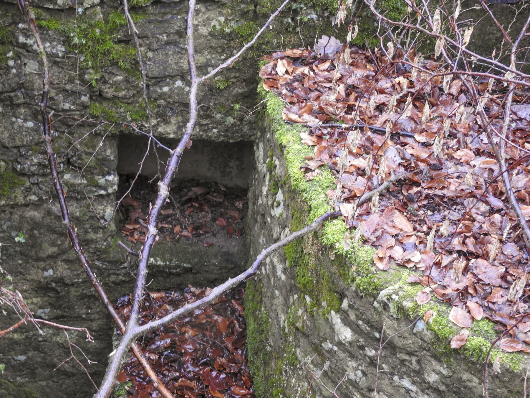 Ligne Maginot - GUNGLINGERBERG 6 - (Cuve pour arme d'infanterie) - La niche à munitions. - STENGER Mathieu