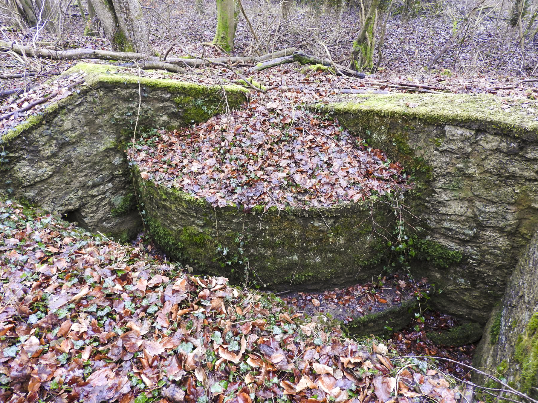 Ligne Maginot - GUNGLINGERBERG 7 - (Cuve pour arme d'infanterie) - La cuve pour arme d'infanterie. - STENGER Mathieu