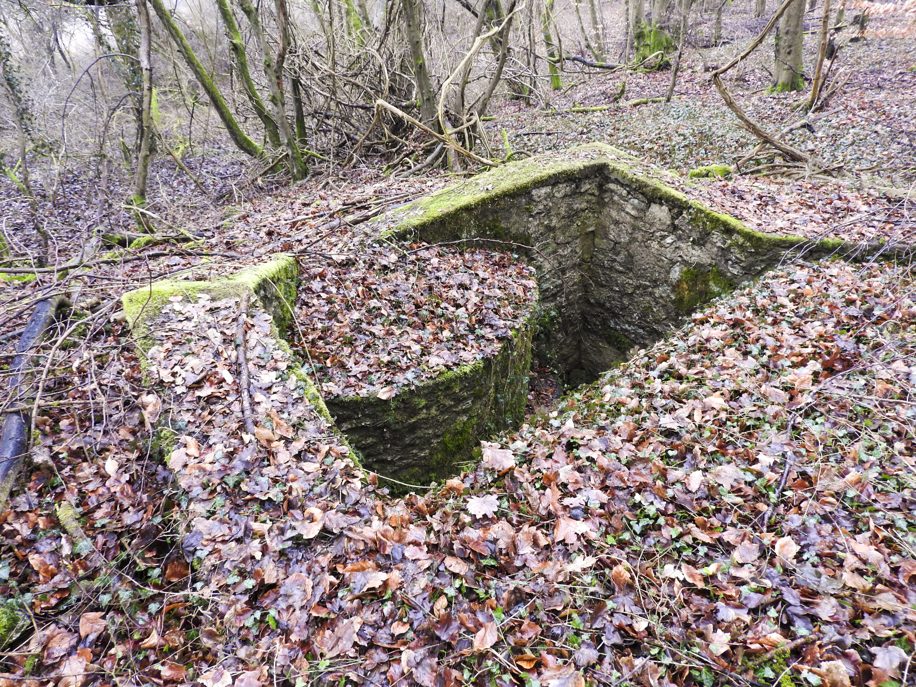 Ligne Maginot - GUNGLINGERBERG 7 - (Cuve pour arme d'infanterie) - La cuve pour arme d'infanterie. - STENGER Mathieu