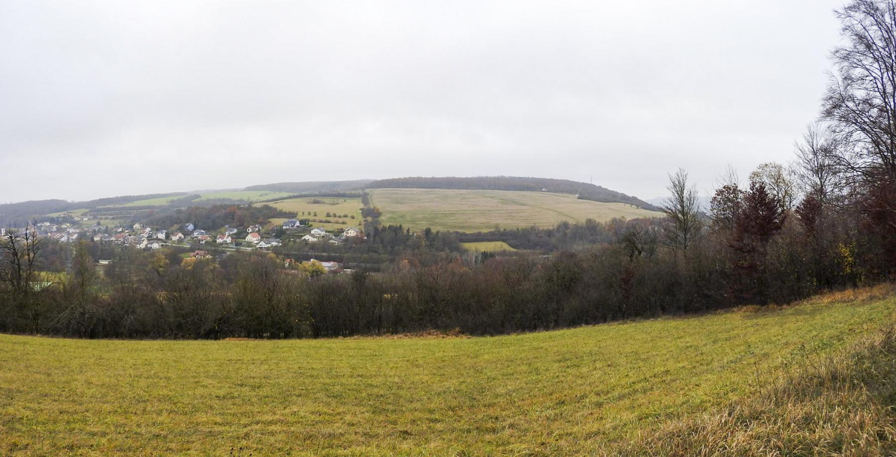 Ligne Maginot - MEISTERBUSCH 3 - (Observatoire d'infanterie) - La vue depuis l'observatoire (photo prise depuis la petite prairie qui se trouve juste devant). - STENGER Mathieu