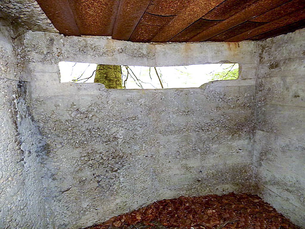 Ligne Maginot - MEISTERBUSCH 3 - (Observatoire d'infanterie) -  - Sylvie Laure LAMBERT