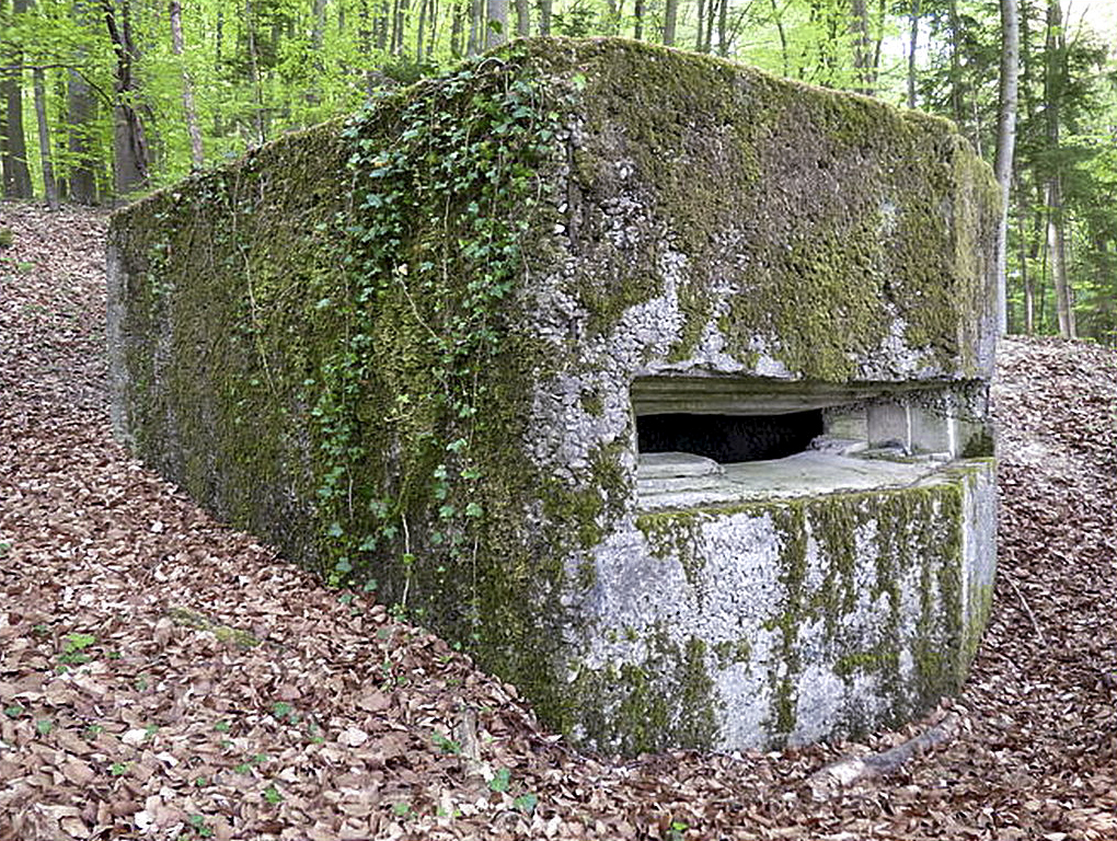 Ligne Maginot - MEISTERBUSCH 3 - (Observatoire d'infanterie) - Un observatoire dans la forêt - Sylvie Laure LAMBERT