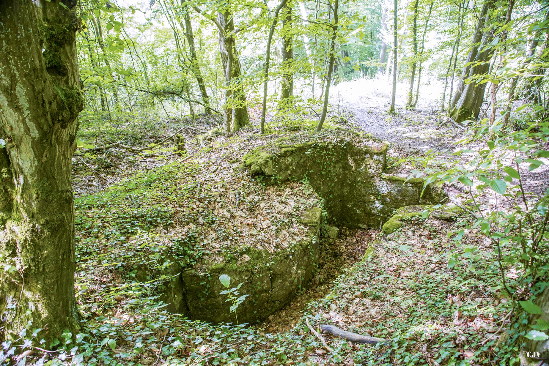 Ligne Maginot - MEISTERBUSCH 1 - (Cuve pour arme d'infanterie) -  - Lia VERMEULEN