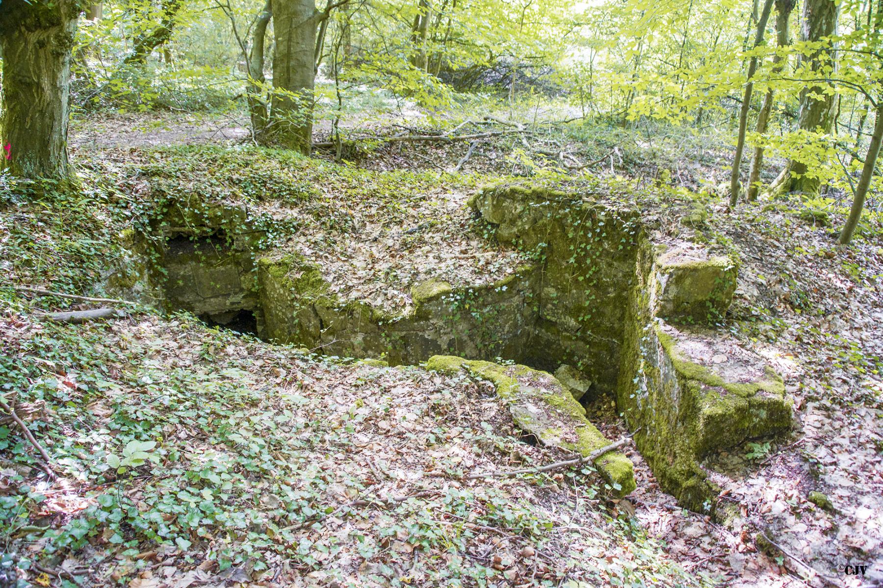 Ligne Maginot - MEISTERBUSCH 1 - (Cuve pour arme d'infanterie) -  - Lia VERMEULEN