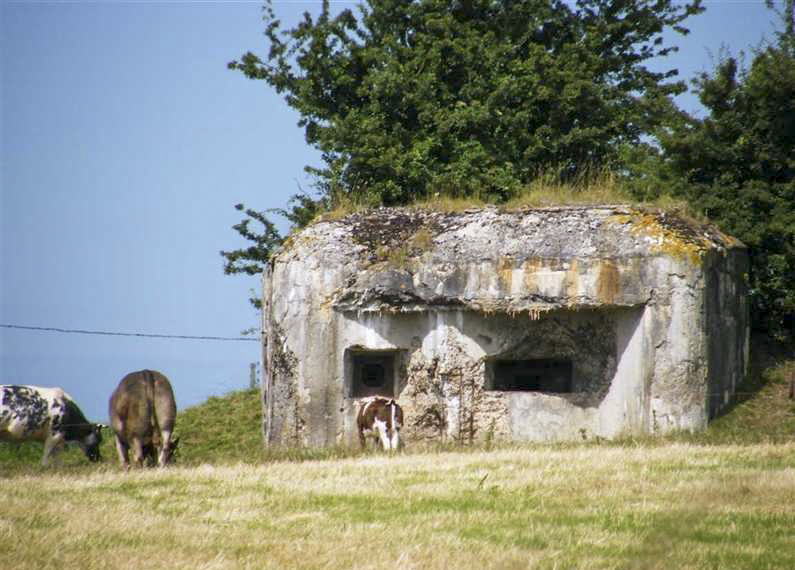 Ligne Maginot - B626 - FAUBOURG D'ASSEVENT - (Blockhaus pour canon) -  - © Jean-Louis AUBLET & Sylvie MAINGUIN