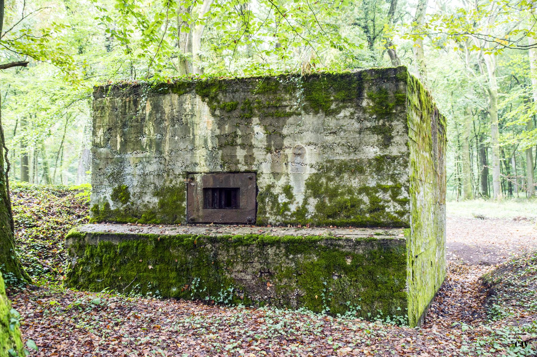 Ligne Maginot - BB351 - HUBERBUSCH 2 - (Blockhaus pour arme infanterie) - Face frontal - Lia VERMEULEN