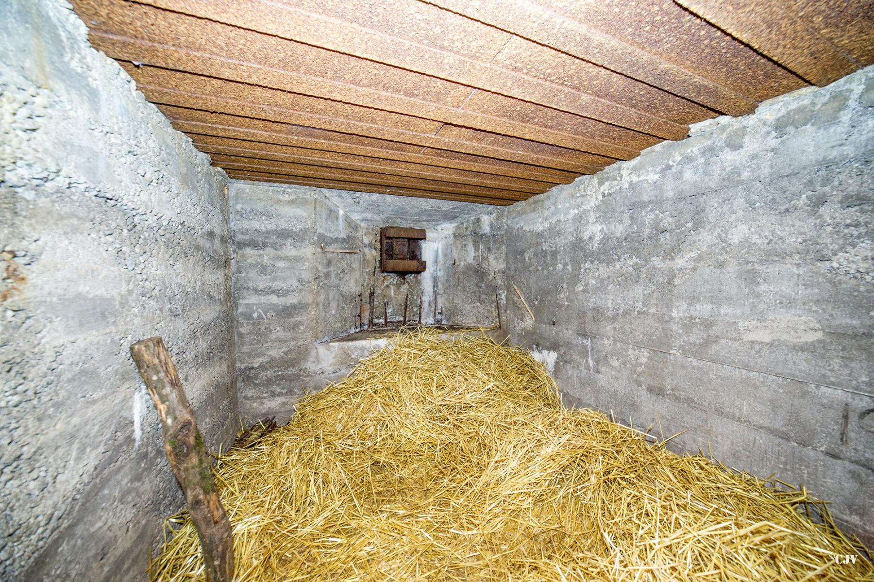 Ligne Maginot - BB351 - HUBERBUSCH 2 - (Blockhaus pour arme infanterie) - Chambre de tir - Lia VERMEULEN