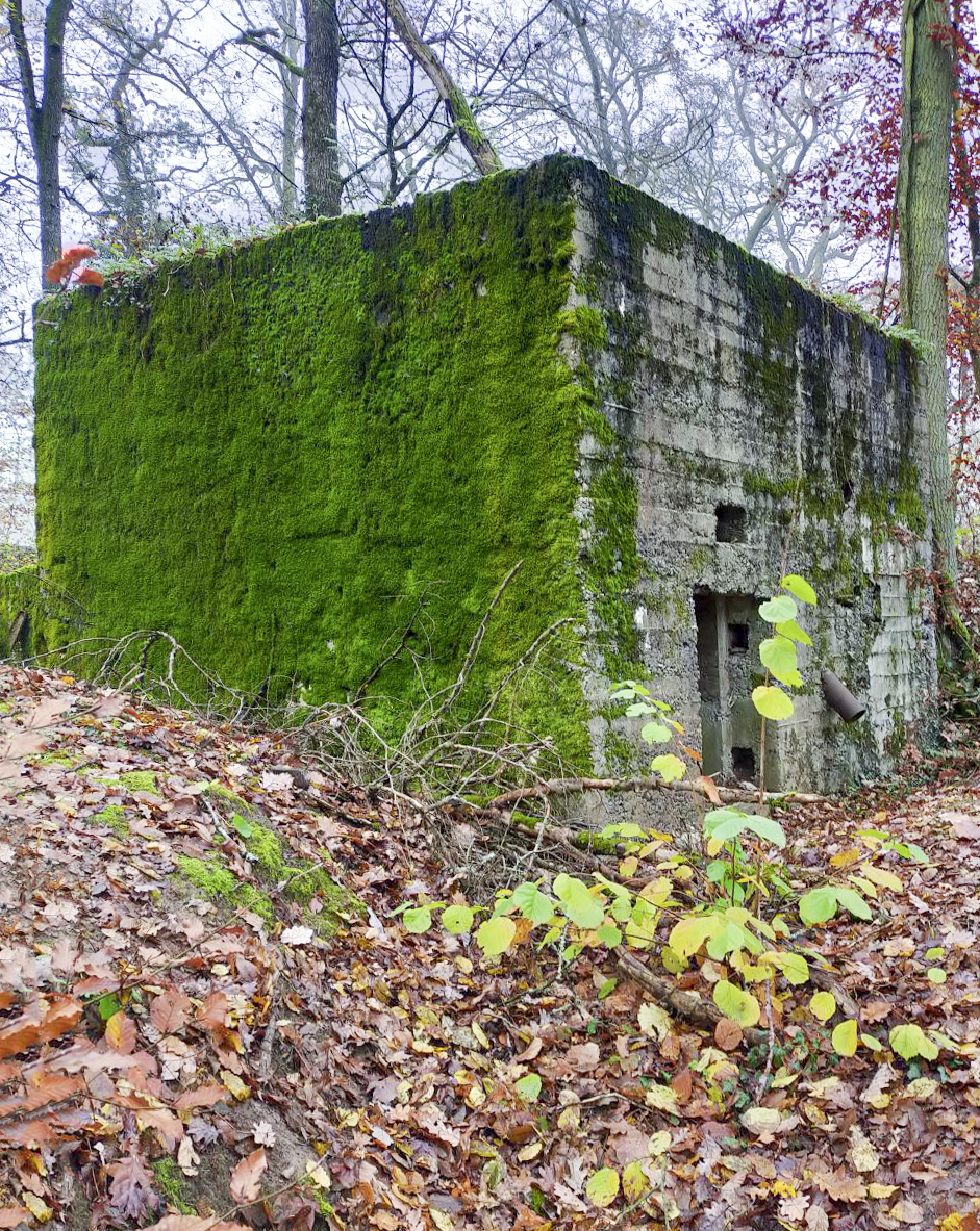 Ligne Maginot - BB351 - HUBERBUSCH 2 - (Blockhaus pour arme infanterie) - L'arrière du blockhaus depuis la tranchée d'accès. - Julien Boulanger