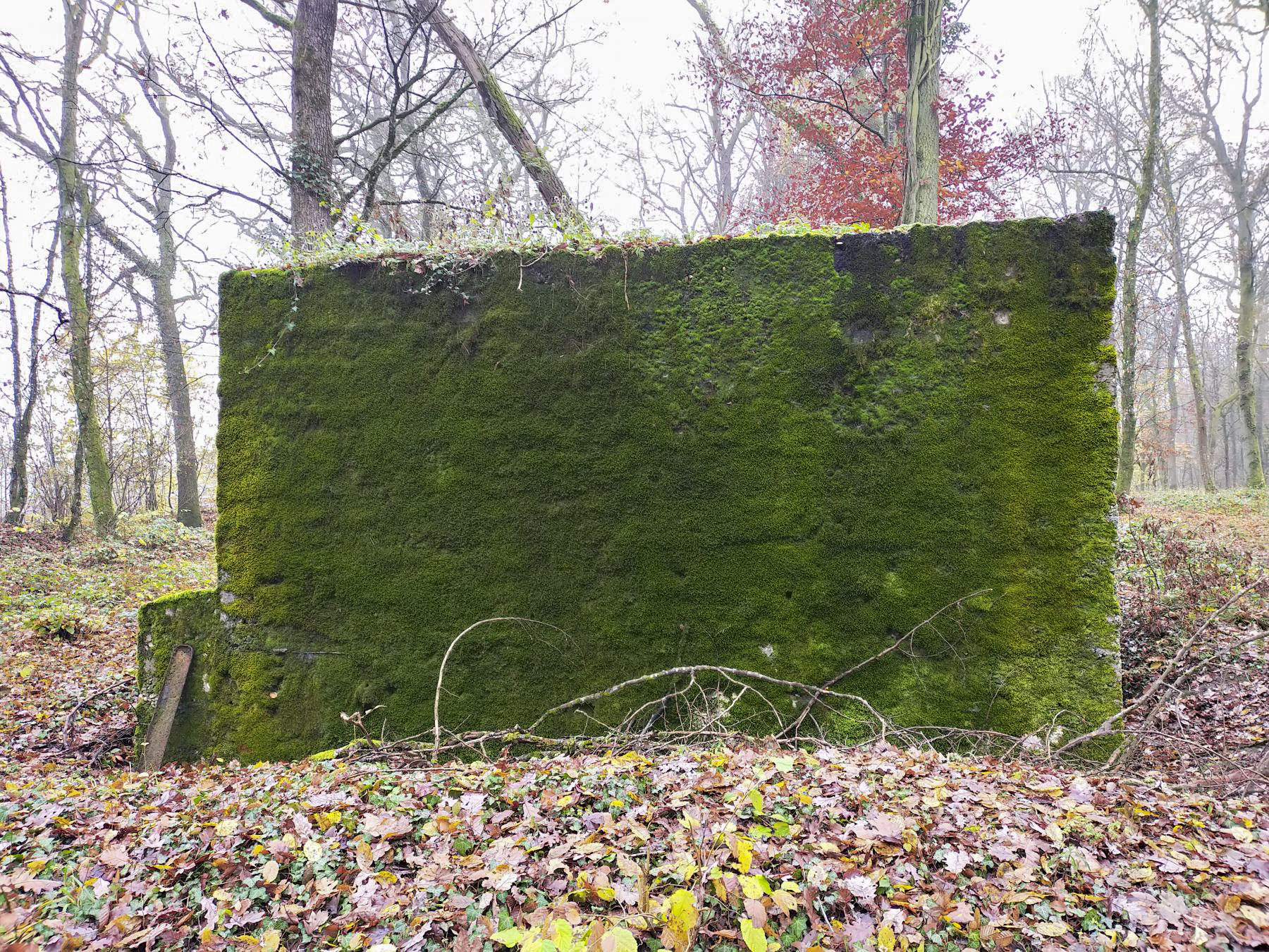 Ligne Maginot - BB351 - HUBERBUSCH 2 - (Blockhaus pour arme infanterie) - Vue de profil du blockhaus. - Julien Boulanger