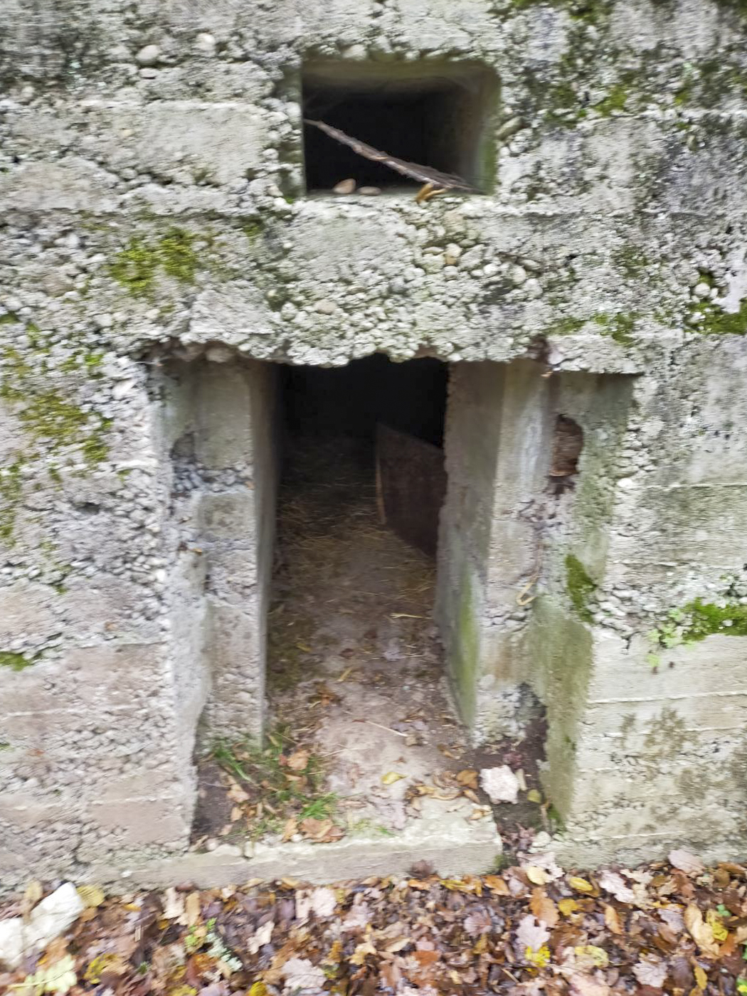 Ligne Maginot - BB351 - HUBERBUSCH 2 - (Blockhaus pour arme infanterie) - Entrée du blockhaus - Julien Boulanger