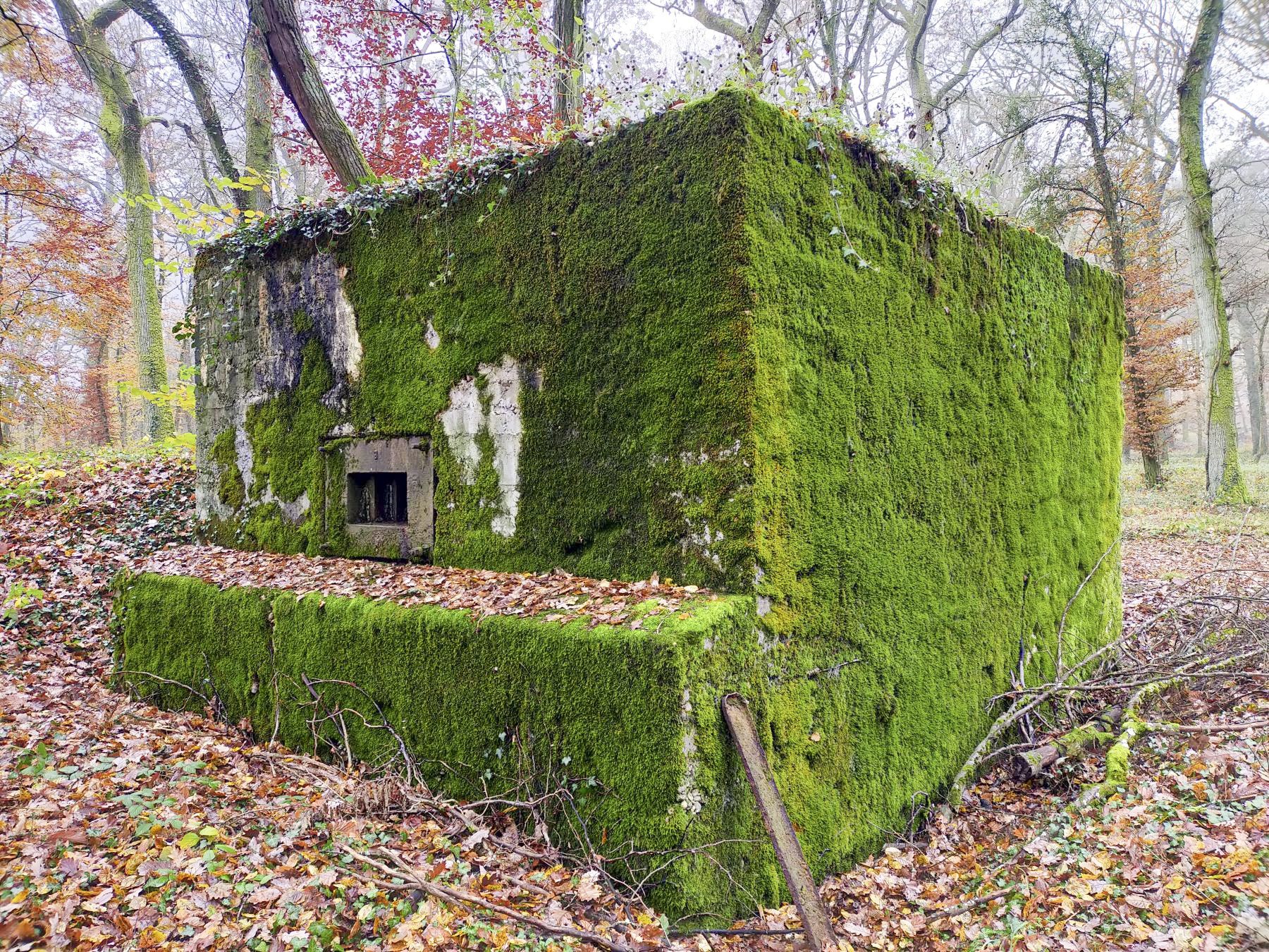 Ligne Maginot - BB351 - HUBERBUSCH 2 - (Blockhaus pour arme infanterie) -  - Julien Boulanger