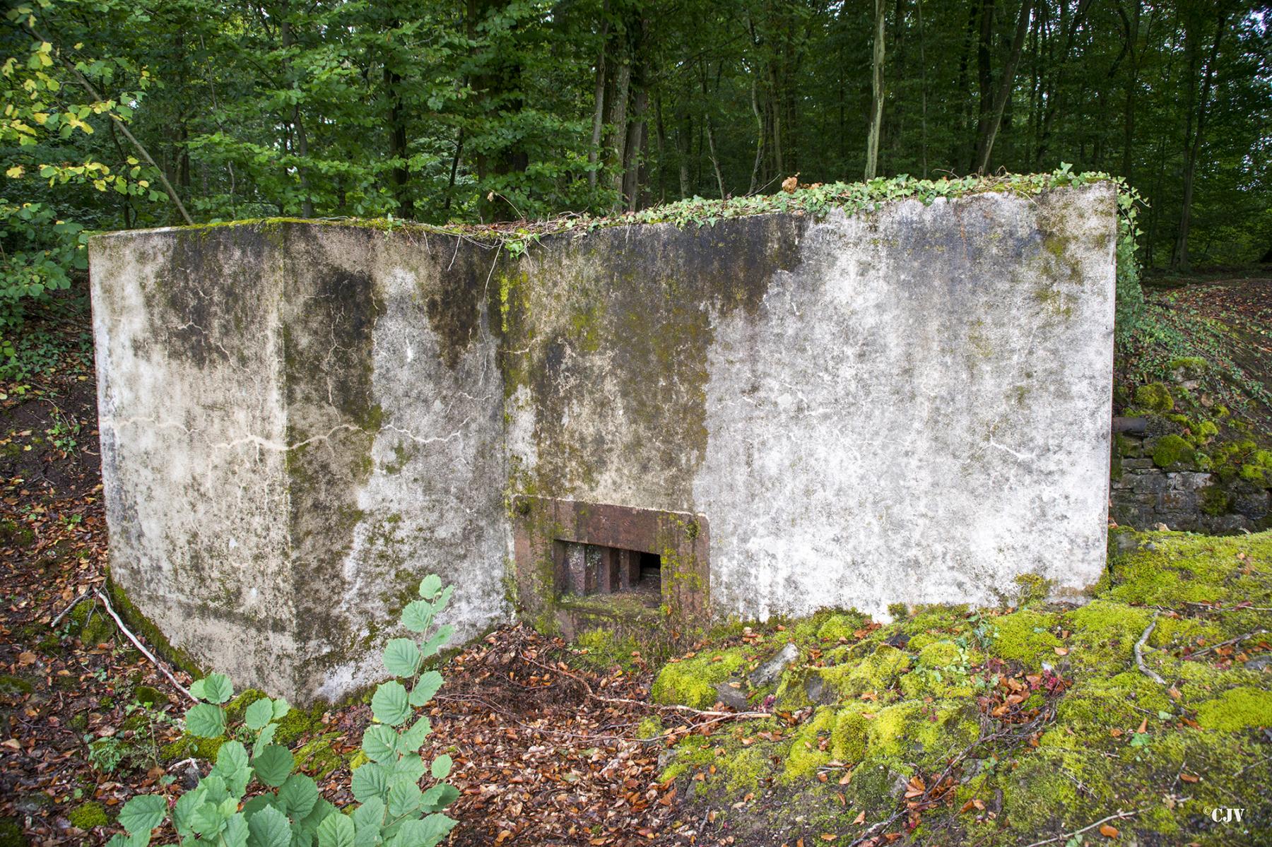 Ligne Maginot - HUBERBUSCH 1 - (Blockhaus pour arme infanterie) -  - Lia VERMEULEN