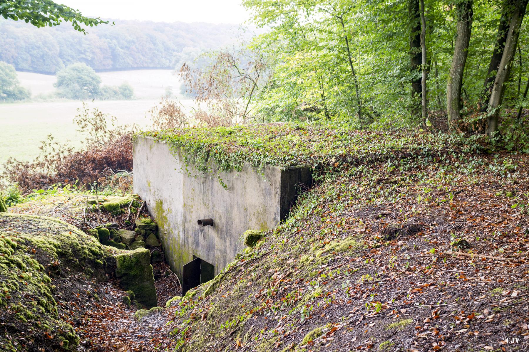 Ligne Maginot - HUBERBUSCH 1 - (Blockhaus pour arme infanterie) -  - Lia VERMEULEN