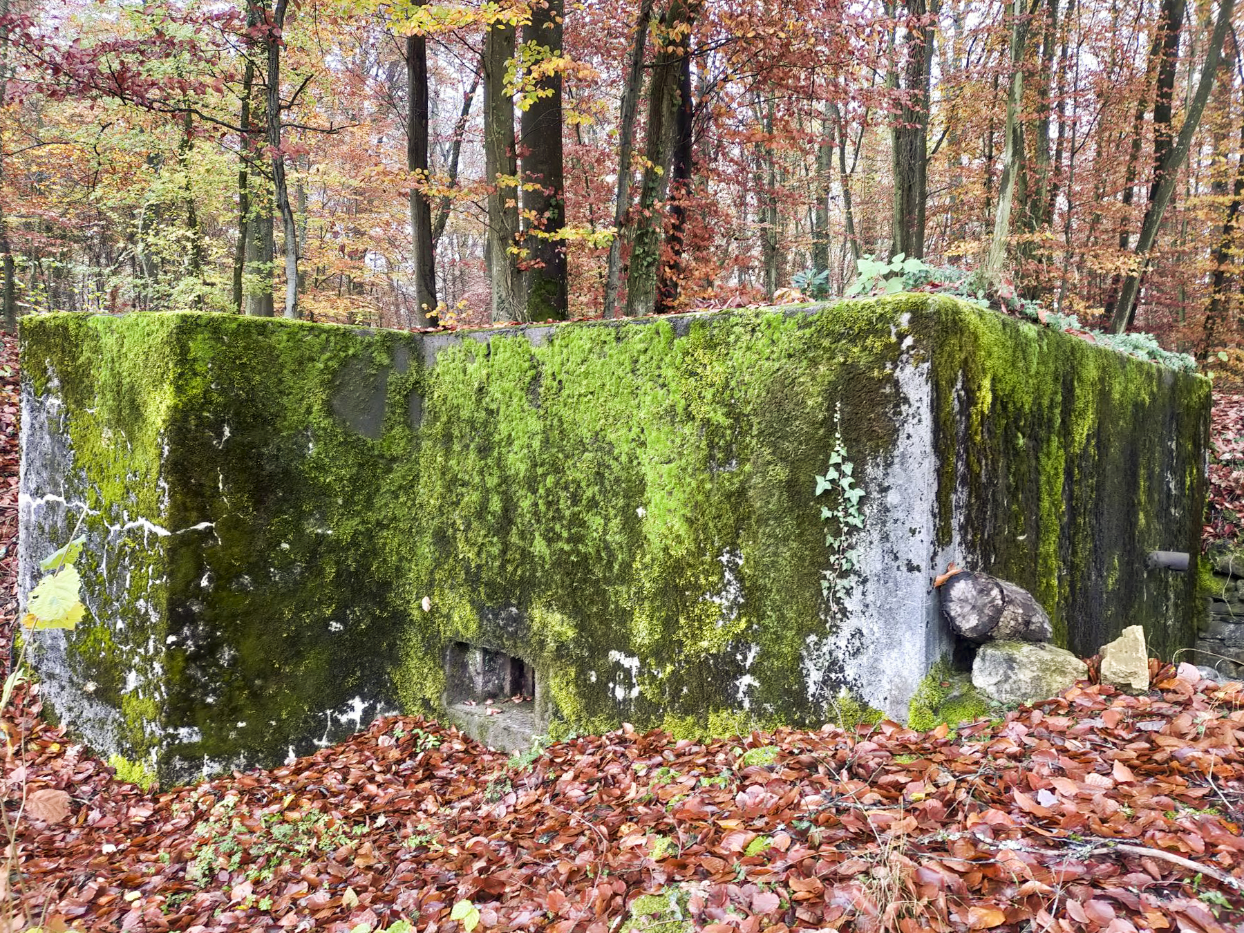 Ligne Maginot - HUBERBUSCH 1 - (Blockhaus pour arme infanterie) -  - Julien Boulanger