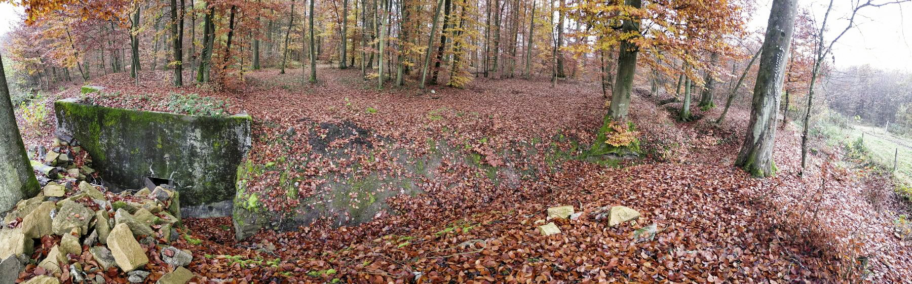 Ligne Maginot - HUBERBUSCH 1 - (Blockhaus pour arme infanterie) - L'arrière du blockhaus et sa tranchée d'accès. - Julien Boulanger