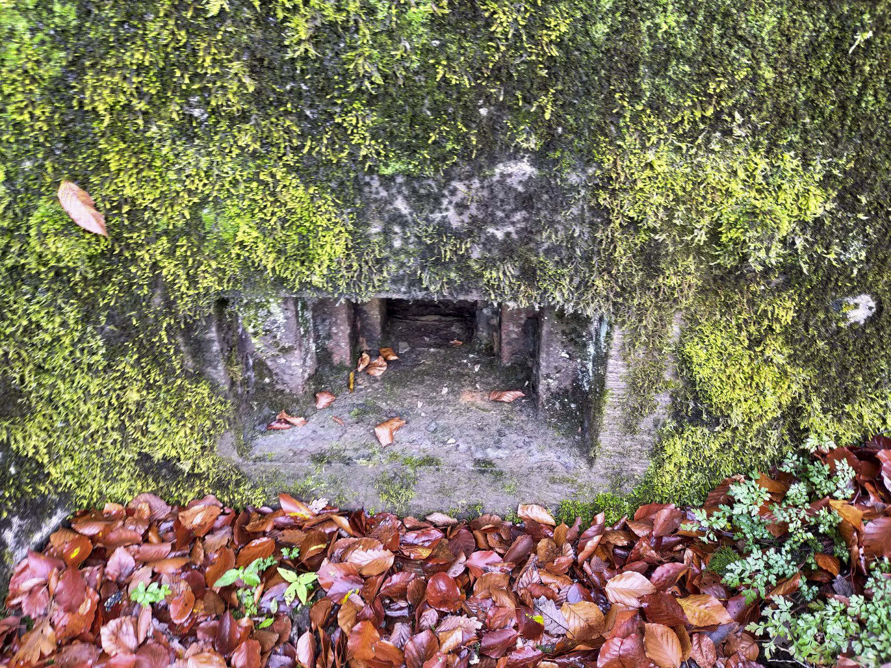 Ligne Maginot - HUBERBUSCH 1 - (Blockhaus pour arme infanterie) - Extérieur de la trémie Condé. - Julien Boulanger