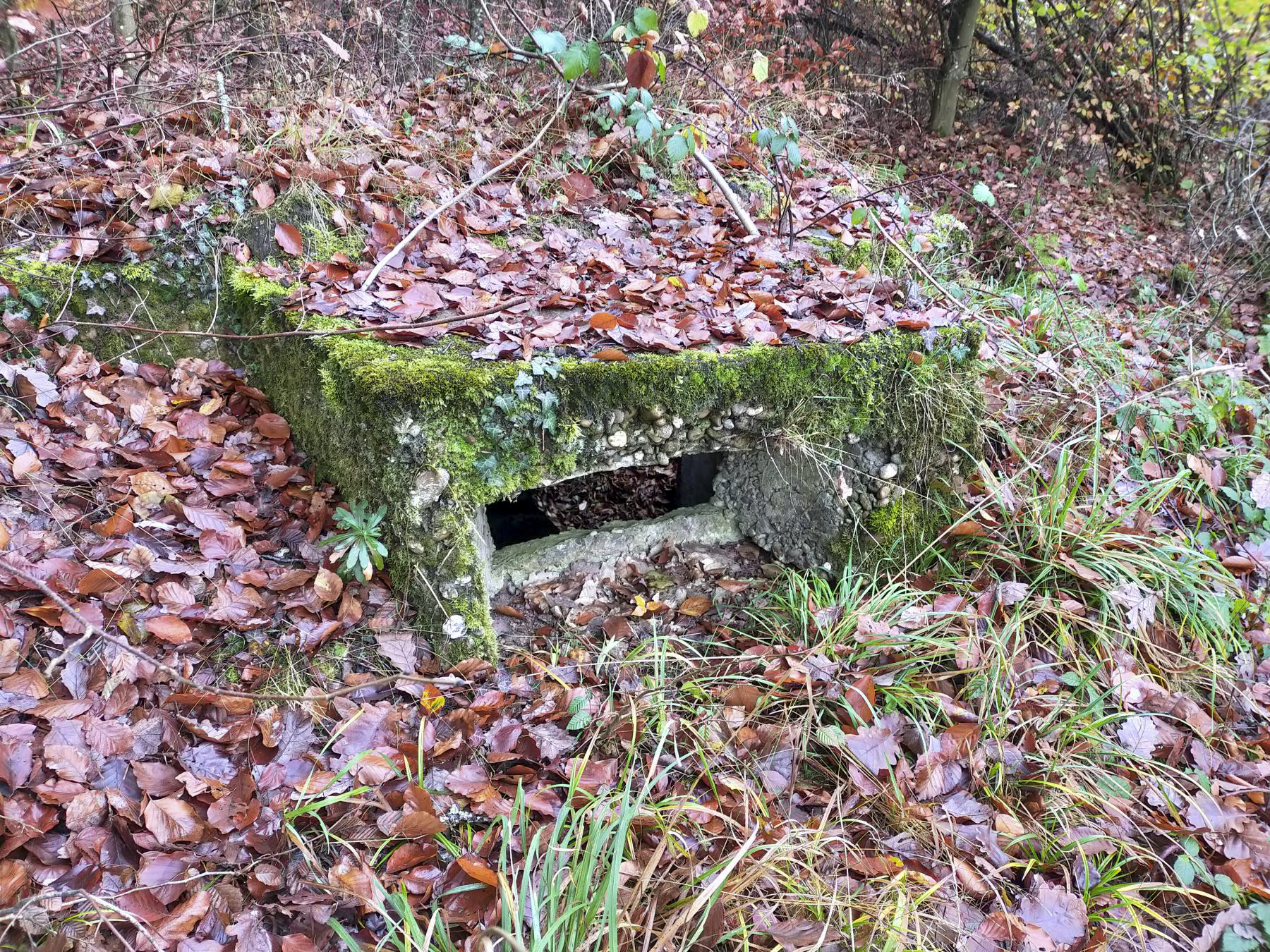 Ligne Maginot - BB40 - (Blockhaus pour arme infanterie) - Créneau - Julien Boulanger