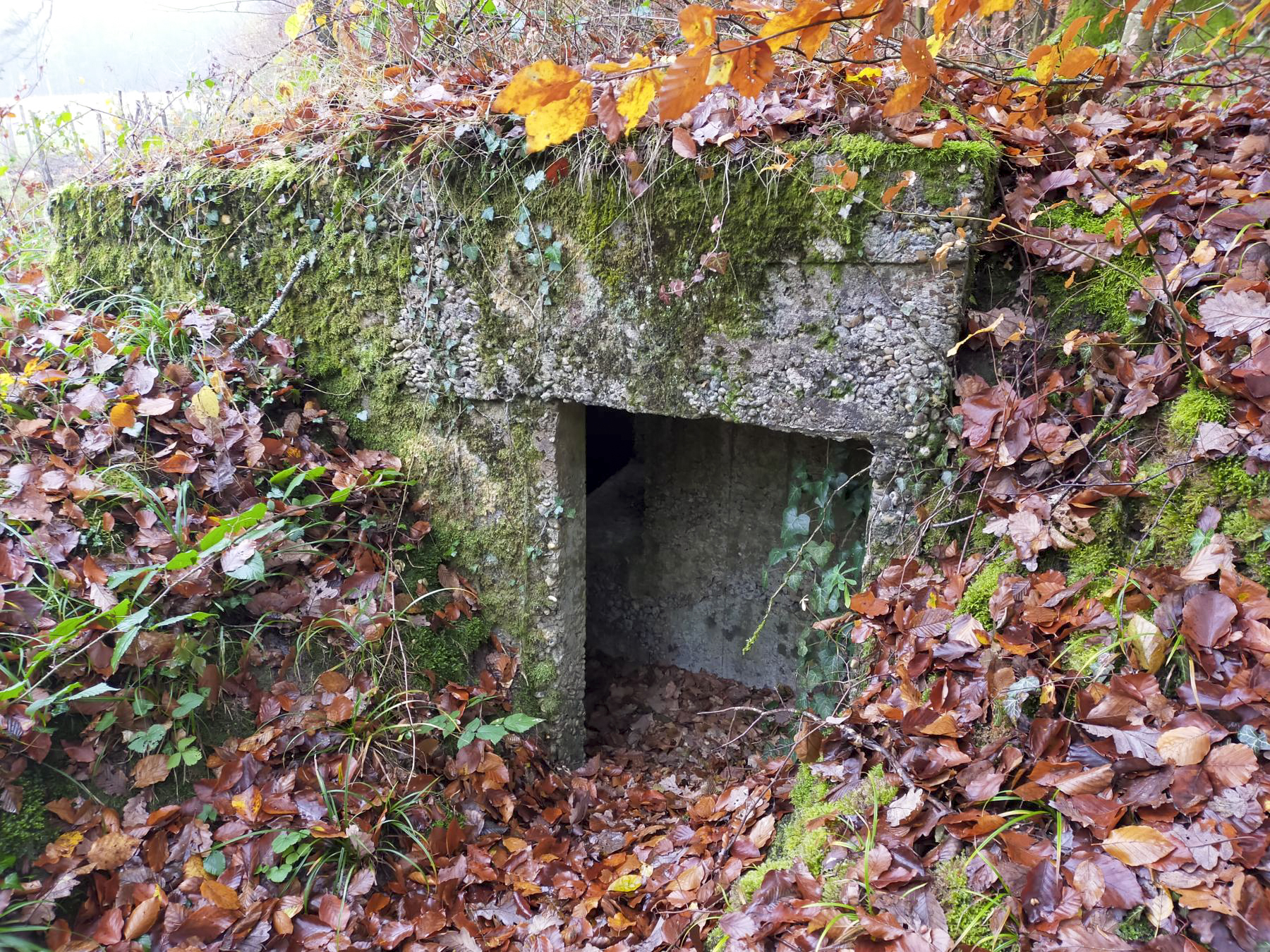 Ligne Maginot - BB40 - (Blockhaus pour arme infanterie) - Arrière du blockhaus - Julien Boulanger