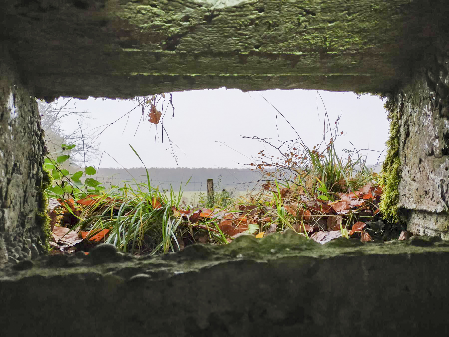 Ligne Maginot - BB40 - (Blockhaus pour arme infanterie) - Vue depuis le créneau - Julien Boulanger