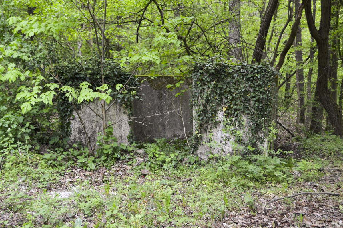 Ligne Maginot - GALGENBERG - (Casernement) - Fosse à ordures - Jules Mathieu