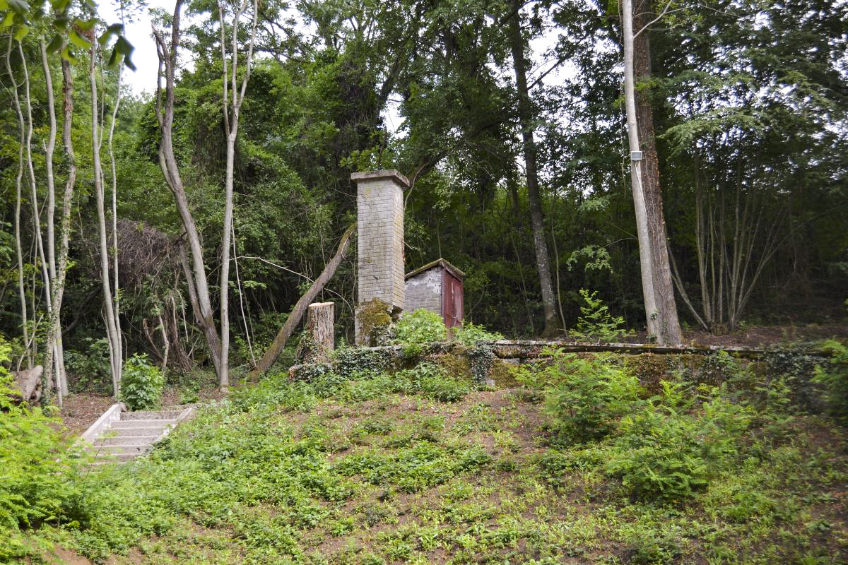 Ligne Maginot - GALGENBERG - (Casernement) - Ruines après débroussaillage par le club de chasse en 2017 - Jules Mathieu