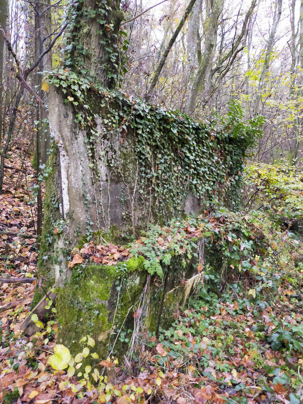 Ligne Maginot - GALGENBERG - (Casernement) - Reste des mangeoires pour chevaux - Julien Boulanger
