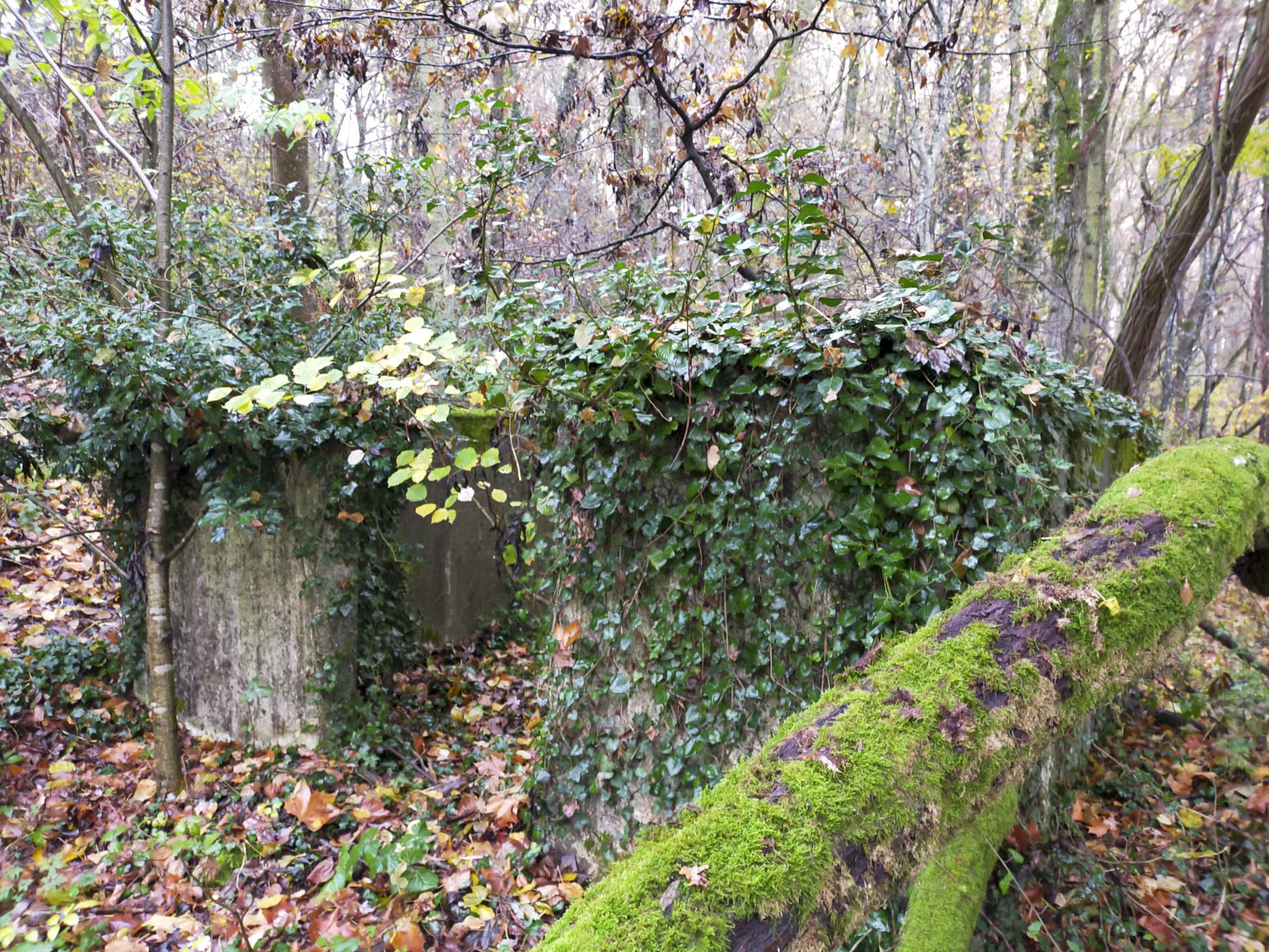 Ligne Maginot - GALGENBERG - (Casernement) -  - Julien Boulanger