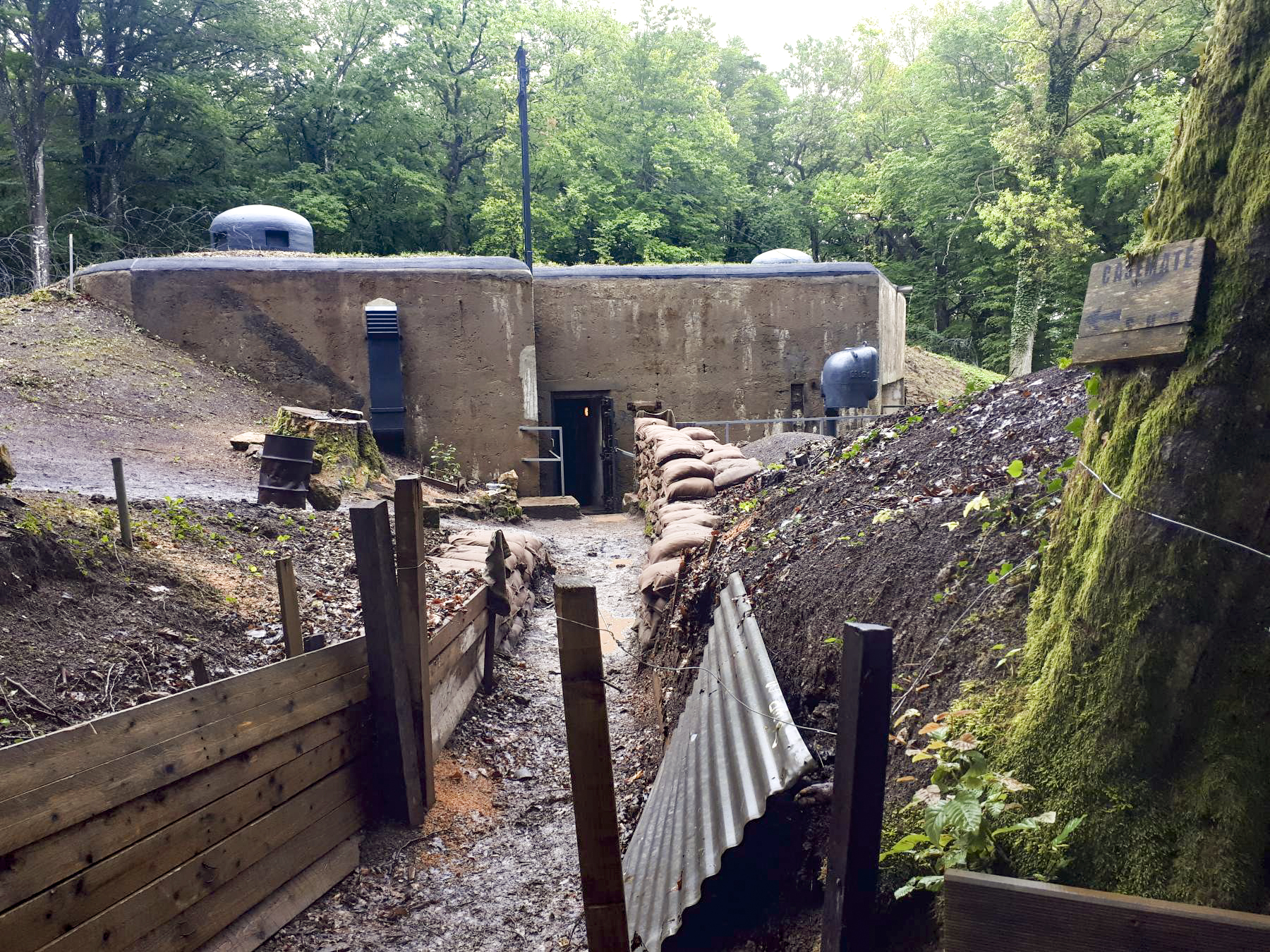 Ligne Maginot - HUBERBUSCH SUD - C59 - (Casemate d'infanterie) - La tranchée reconstituée vers l'entrée de la casemate - Gregory Fuchs