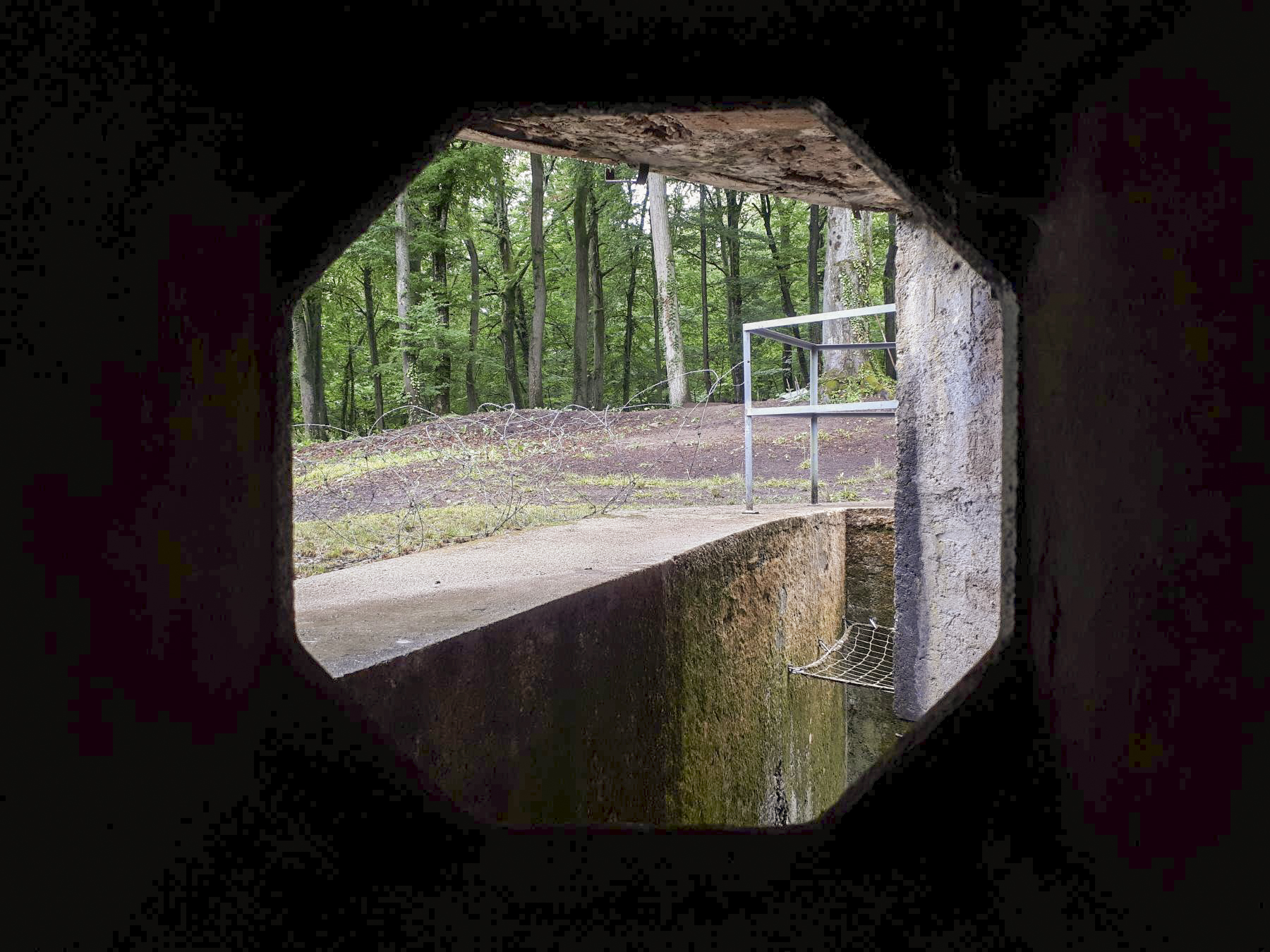 Ligne Maginot - HUBERBUSCH SUD - C59 - (Casemate d'infanterie) - Vue depuis le créneau FM de façade - Gregory Fuchs