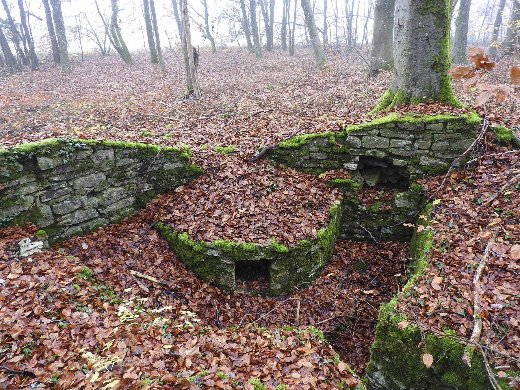 Ligne Maginot - MEISTERBUSCH 6 - (Cuve pour arme d'infanterie) - La cuve pour arme d'infanterie. - STENGER Mathieu
