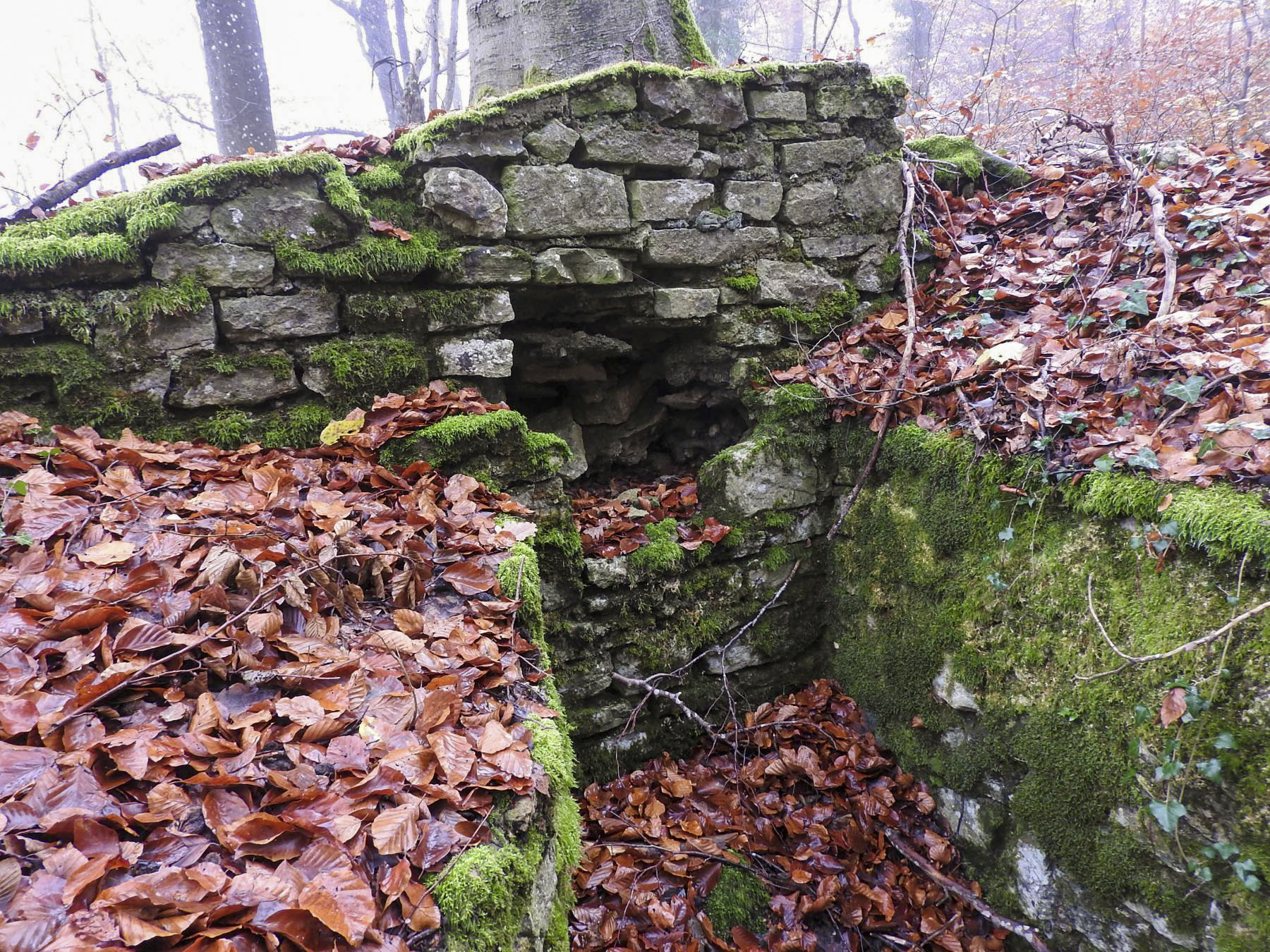 Ligne Maginot - MEISTERBUSCH 6 - (Cuve pour arme d'infanterie) - La niche à munitions. - STENGER Mathieu