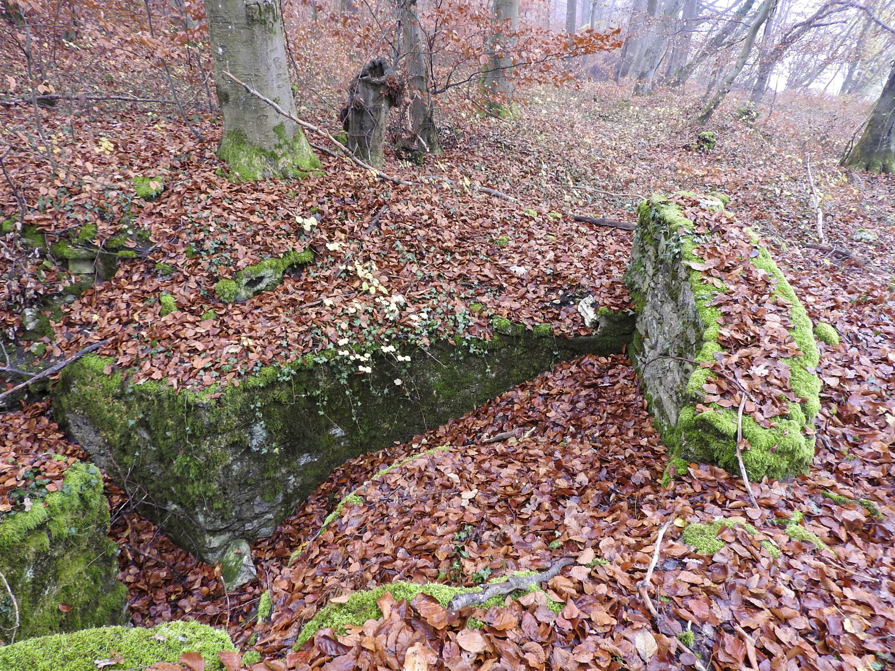 Ligne Maginot - MEISTERBUSCH 6 - (Cuve pour arme d'infanterie) - La table de tir avec son parapet. - STENGER Mathieu
