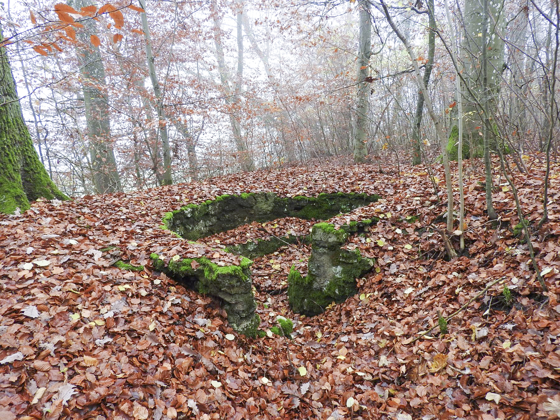 Ligne Maginot - MEISTERBUSCH 7 - (Cuve pour arme d'infanterie) - La plate-forme pour mitrailleuse. - STENGER Mathieu