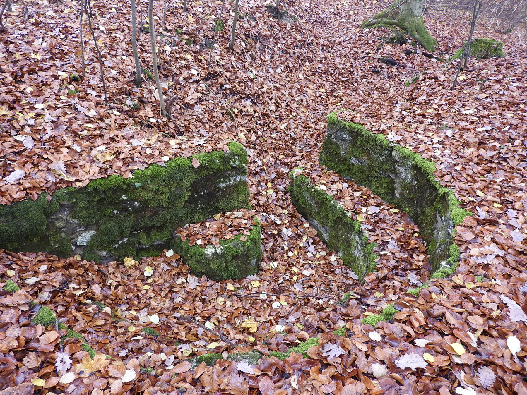 Ligne Maginot - MEISTERBUSCH 7 - (Cuve pour arme d'infanterie) - La plate-forme pour mitrailleuse. - STENGER Mathieu