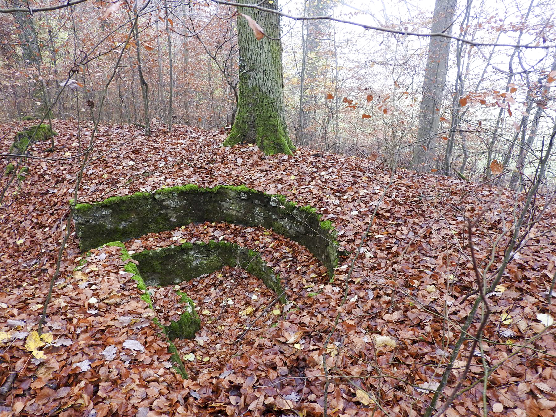 Ligne Maginot - MEISTERBUSCH 7 - (Cuve pour arme d'infanterie) - La plate-forme pour mitrailleuse. - STENGER Mathieu