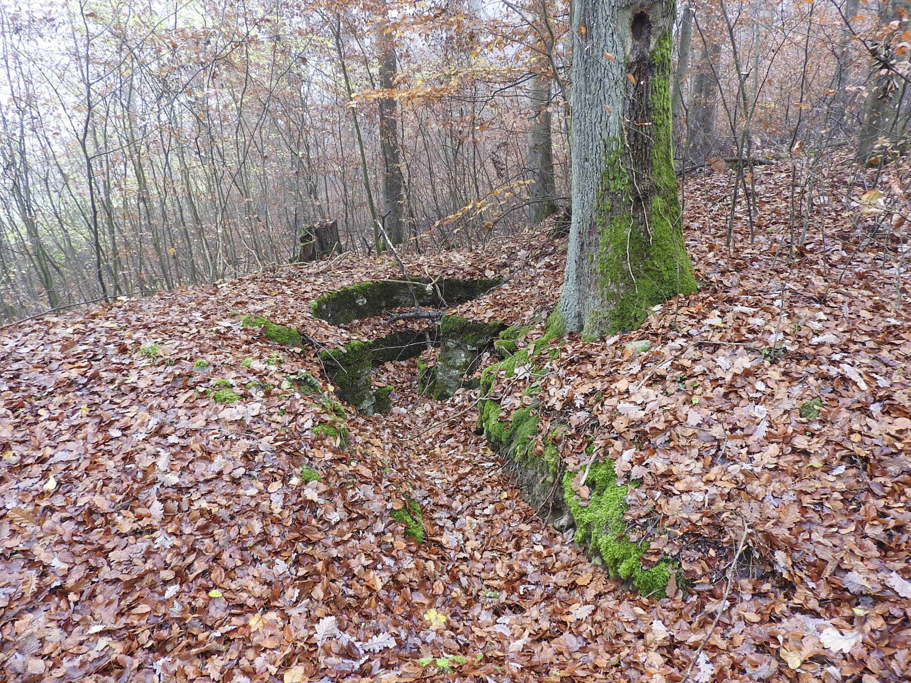 Ligne Maginot - MEISTERBUSCH 8 - (Cuve pour arme d'infanterie) - La cuve en maçonnerie pour mitrailleuse. - STENGER Mathieu