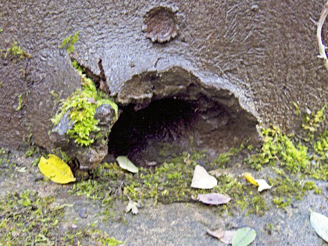 Ligne Maginot - MICHELSBERG - A22 - (Ouvrage d'artillerie) - Bloc 3
Détail d'un Impact de FLAK 88 sur une cloche GFM - Yves NOEL