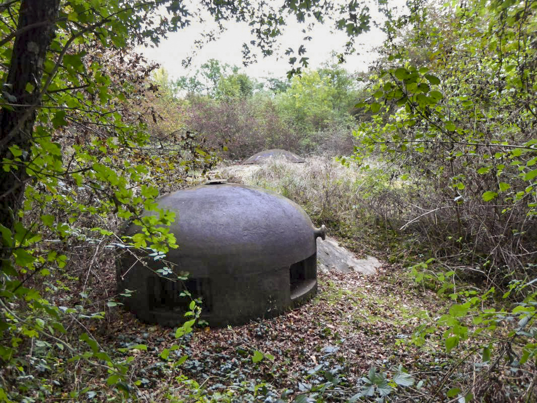Ligne Maginot - MICHELSBERG - A22 - (Ouvrage d'artillerie) - Bloc 5
Cloche GFM - ELLENA-CUNY