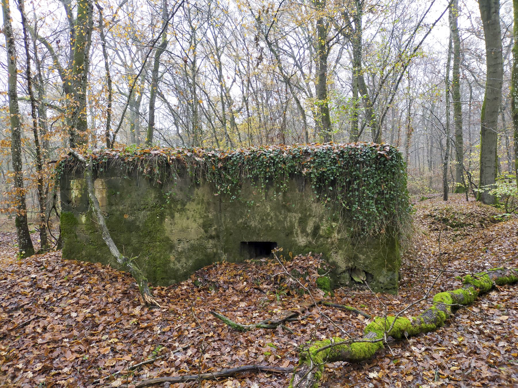 Ligne Maginot - CB443 - BOIS KARRE 7 - (Blockhaus pour arme infanterie) -  - Julien Boulanger