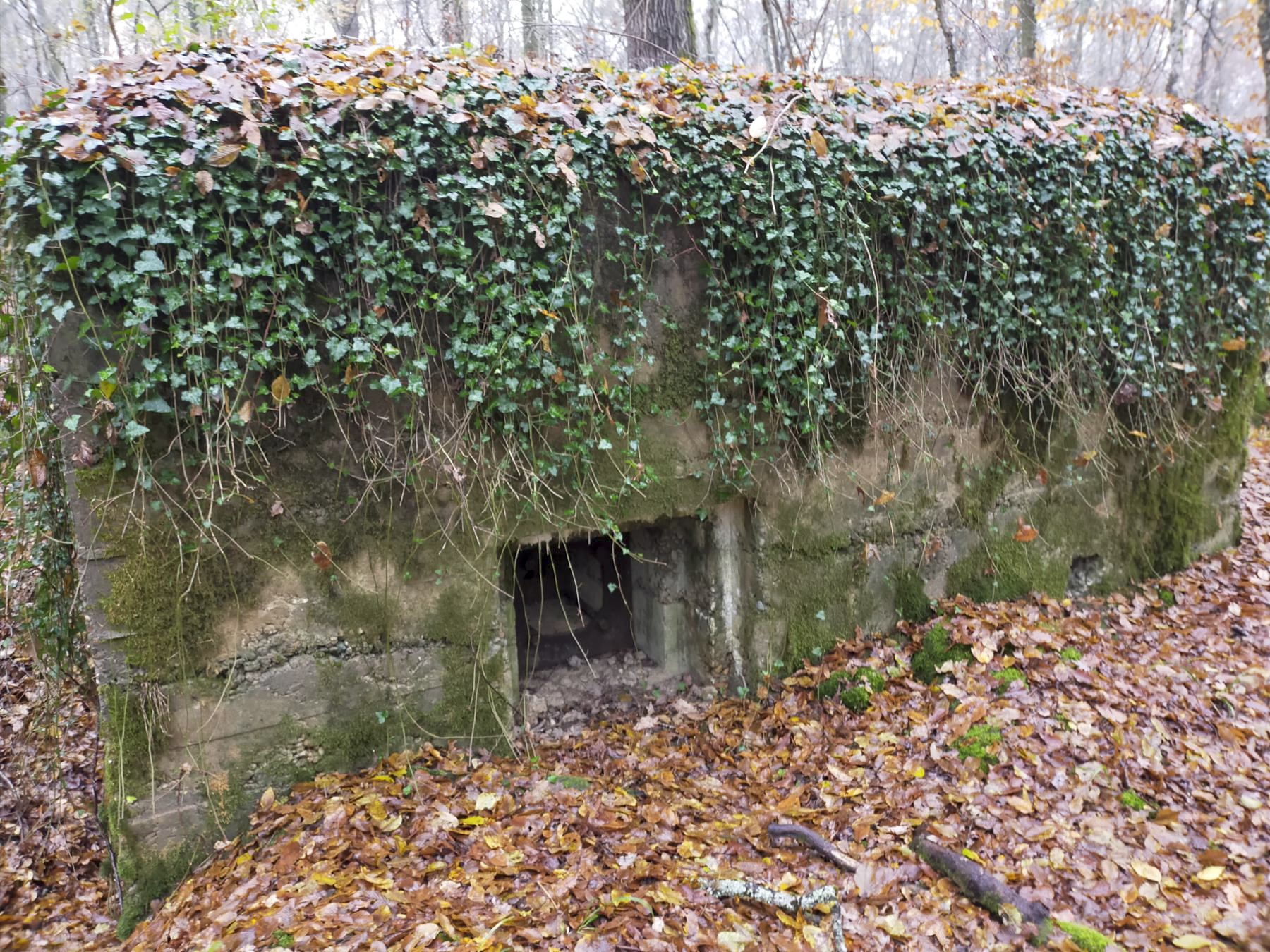 Ligne Maginot - CB443 - BOIS KARRE 7 - (Blockhaus pour arme infanterie) - Créneau FM vu de l'extérieur. - Julien Boulanger