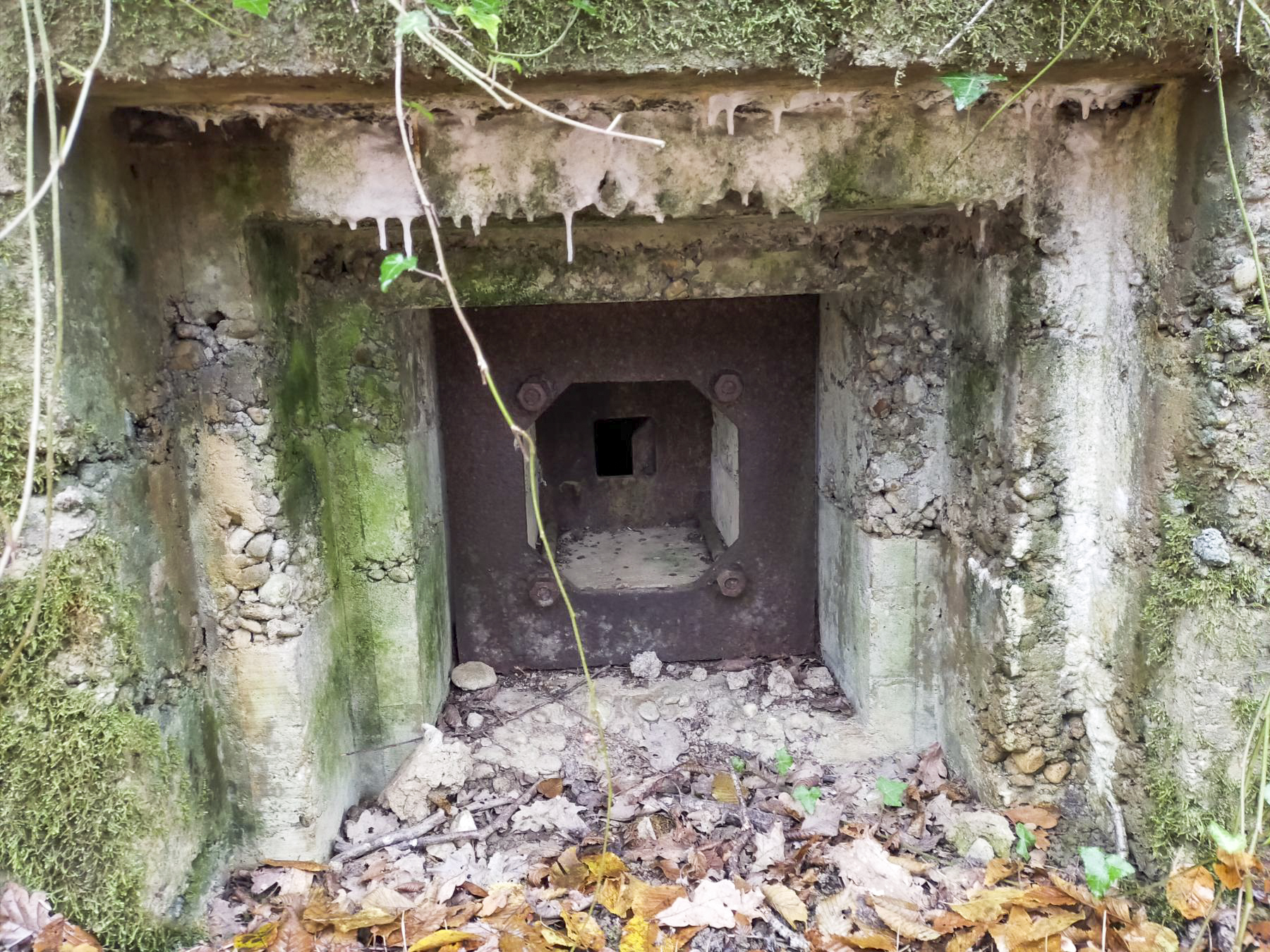 Ligne Maginot - CB443 - BOIS KARRE 7 - (Blockhaus pour arme infanterie) - Créneau FM. - Julien Boulanger