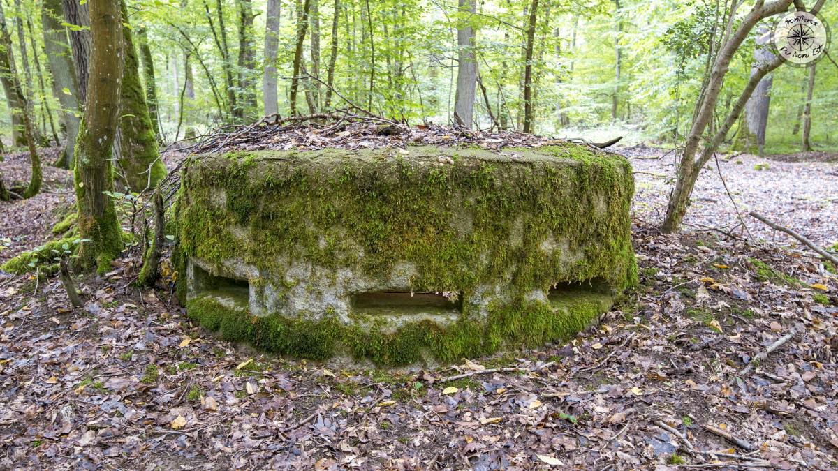 Ligne Maginot - CB443-A - BOIS KARRE 6 - (Observatoire d'infanterie) - L'observatoire vu de face - CALAND Thierry