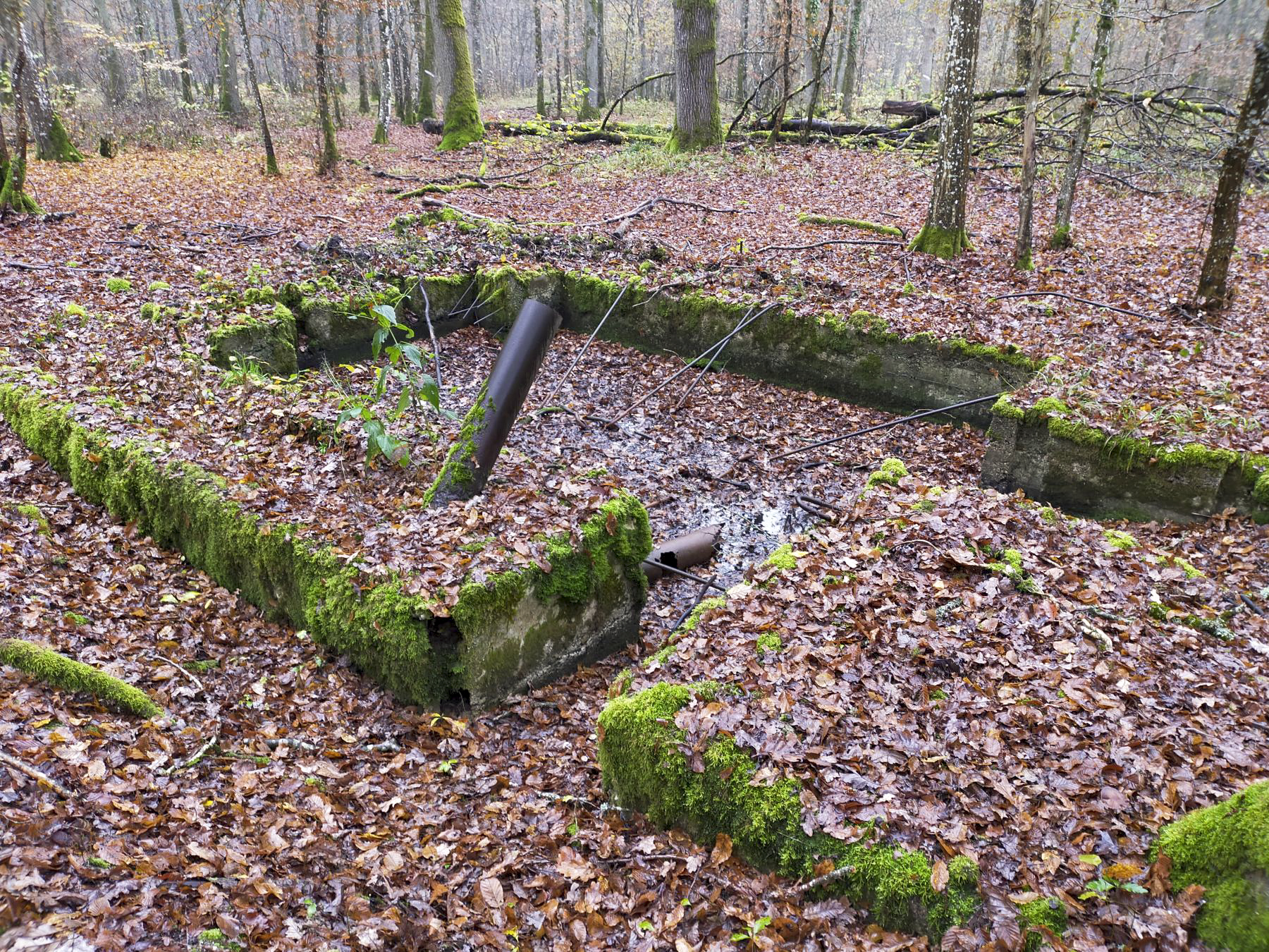 Ligne Maginot - CB443-B - BOIS KARRE 5 - (Blockhaus pour canon) -  - Julien Boulanger