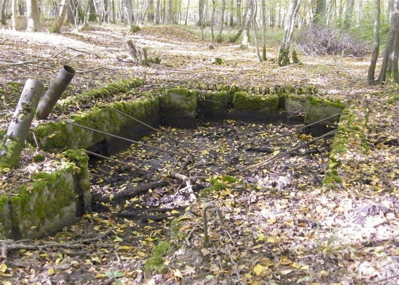 Ligne Maginot - CB443-B - BOIS KARRE 5 - (Blockhaus pour canon) -  - Jean-Louis AUBLET & Sylvie MAINGUIN