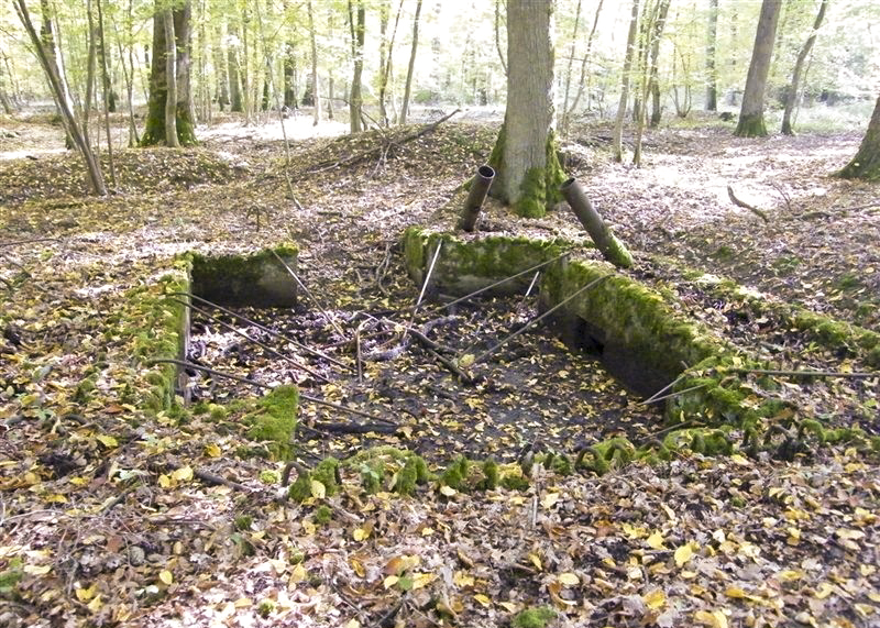 Ligne Maginot - CB443-B - BOIS KARRE 5 - (Blockhaus pour canon) -  - Jean-Louis AUBLET & Sylvie MAINGUIN